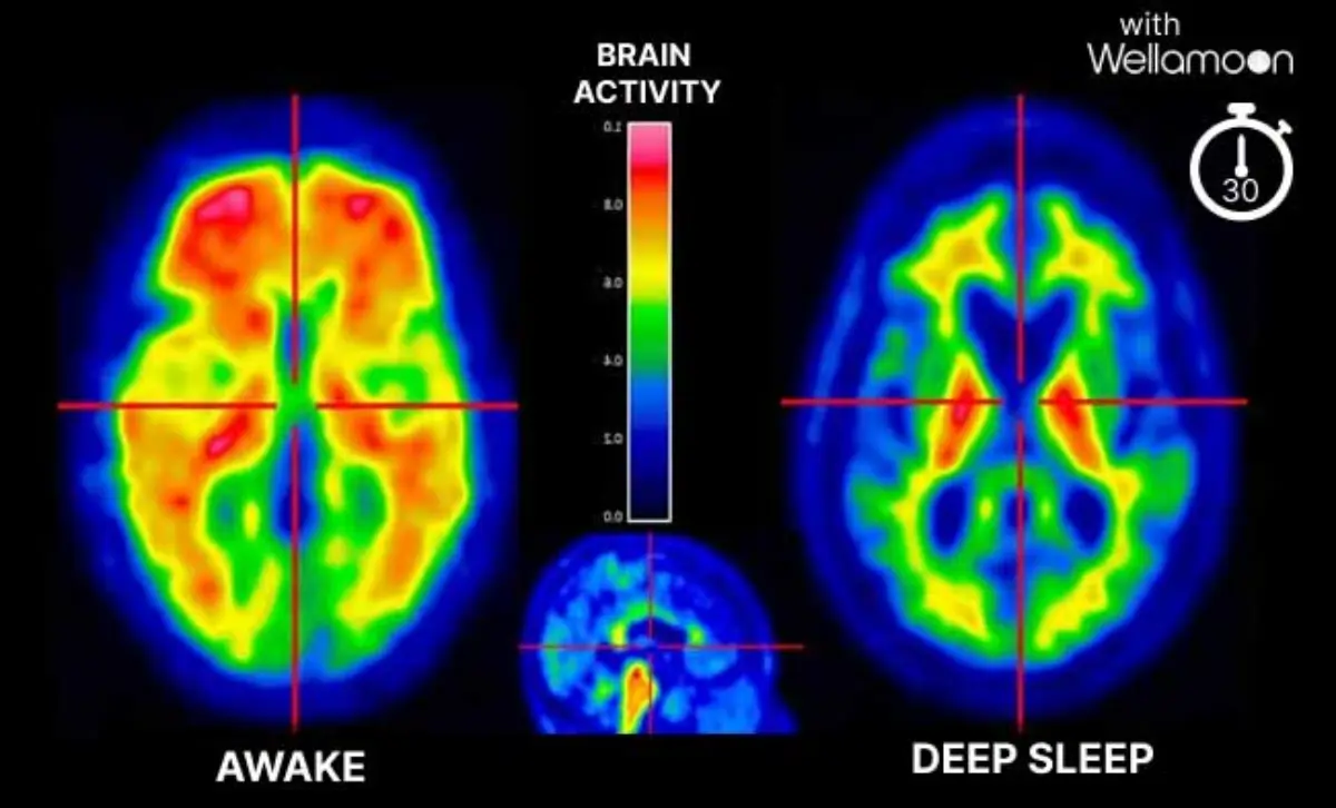 What Makes Wellamoon Different?